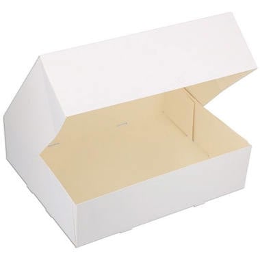 Gebaksdoos 24x16x8 5 stuks