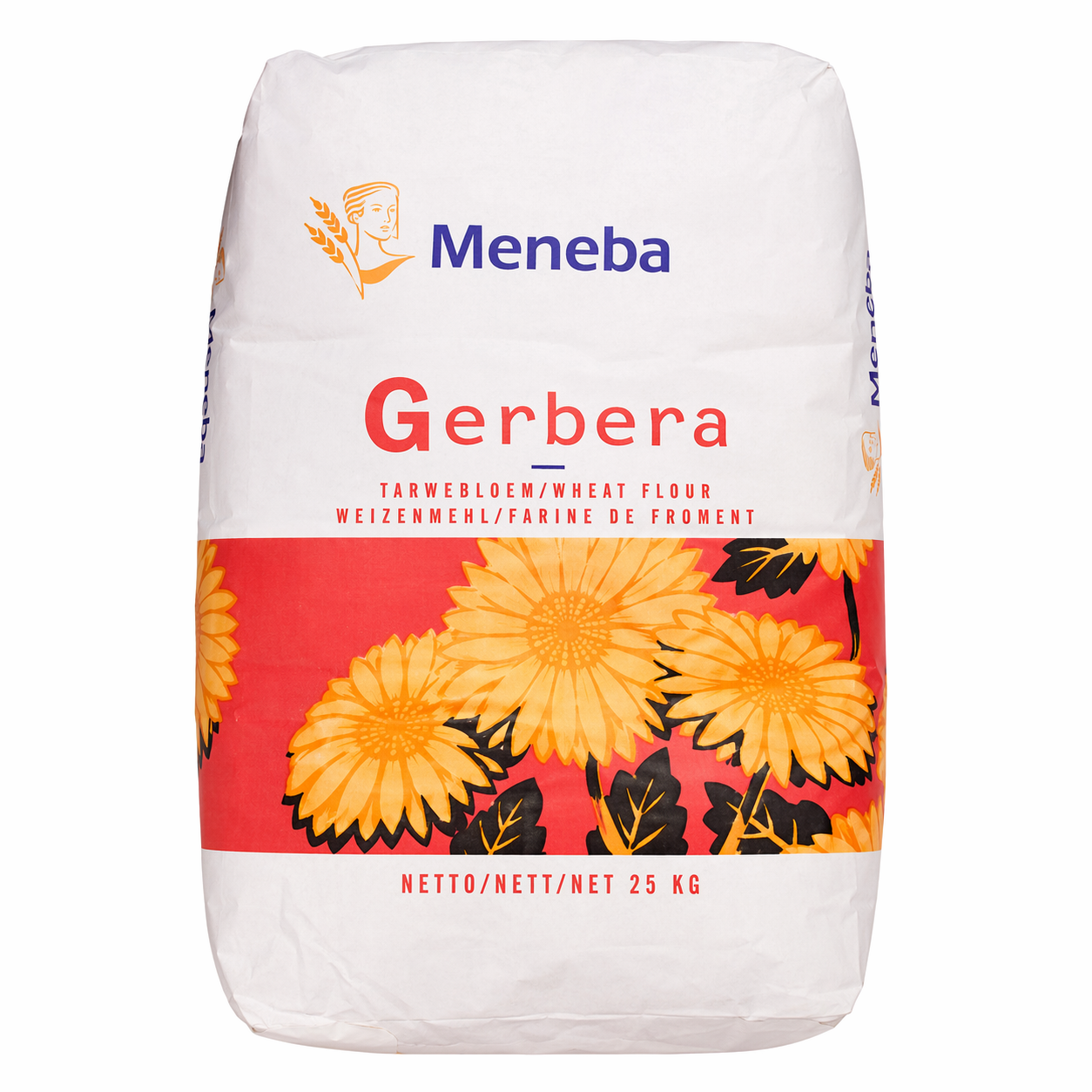 Gerbera - 25 Kg