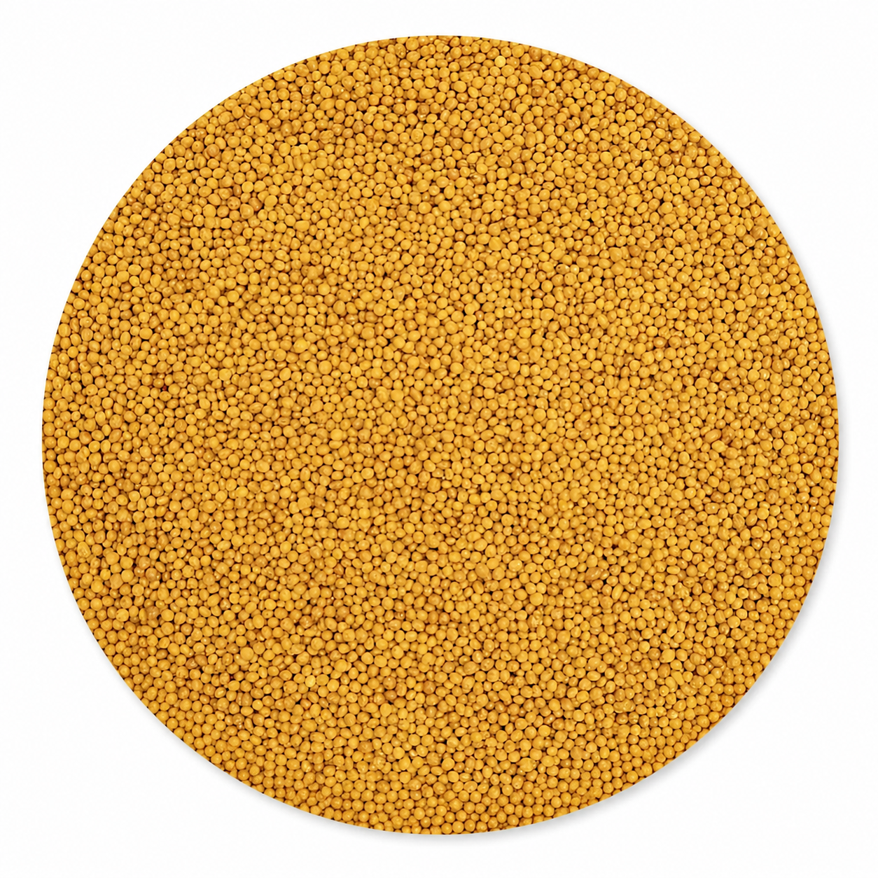 Musketzaad Goud - 100 g